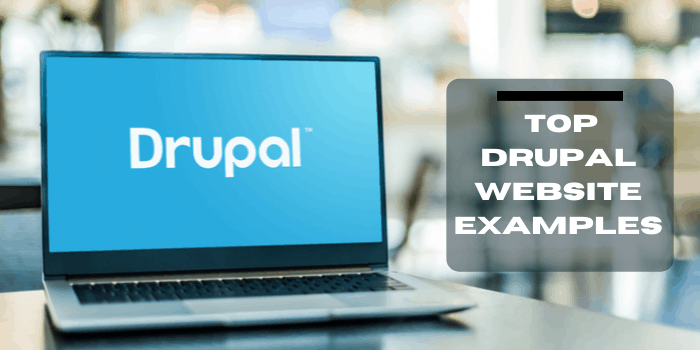 25 Drupal Website Examples